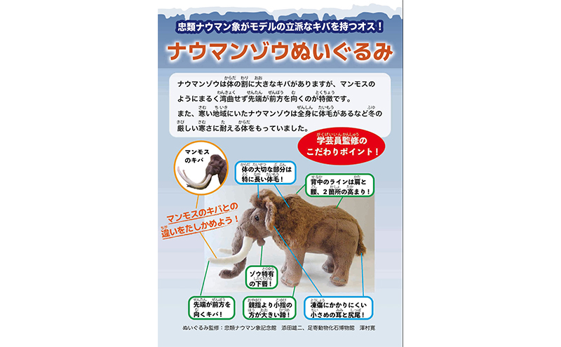 【中古】 ナウマン象を掘る 象の来た道/偕成社/たかしよいち 中古】 ナウマン象を掘る 象の来た道/偕成社/たかしよいち
