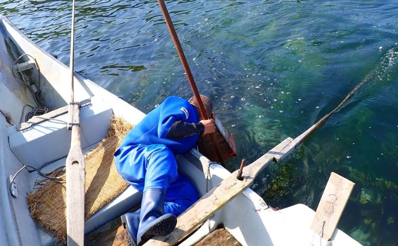 [北海道 礼文島産] 熟成ねかせ昆布粉 10g×3袋【 天然だし 出汁 万能調味料 調理 昆布 昆布粉 粉 粉末 海鮮 離乳食 減塩 】
