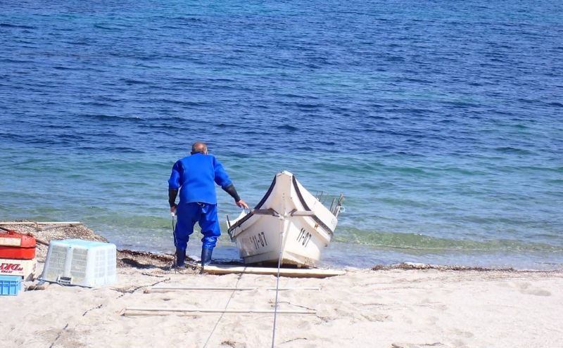 [北海道 礼文島産] 天然 寒岩のり 3枚 【 海苔 岩海苔 海藻手作り 磯の香り ご飯のお供 ラーメン 味噌汁 】