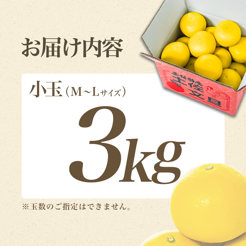 【日本ギフト大賞2024受賞】【先行予約】文旦 小玉3kg（L～M）2026年1月下旬より順次発送 土佐文旦 みかん 柑橘 ぶんたん ブンタン 果物 フルーツ お取り寄せ おいしい 家庭用 贈答用 土佐市 高知 ふるさと納税 春 旬 返礼品 高知県 高知 6000円