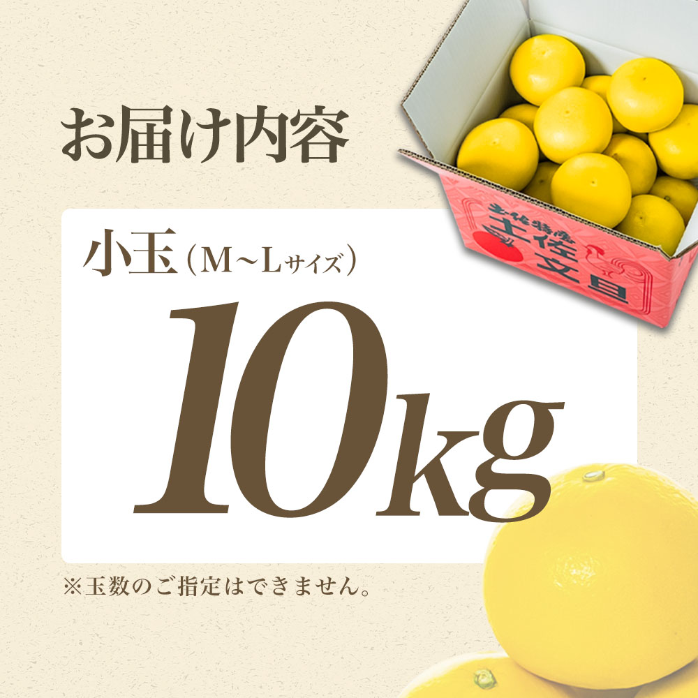 【日本ギフト大賞2024受賞】【先行予約】文旦 小玉 10kg（L～M）2026年1月下旬より順次発送 土佐文旦 みかん 柑橘 ぶんたん ブンタン 果物 フルーツ お取り寄せ おいしい 家庭用 贈答用 土佐市 高知 ふるさと納税 春 旬 返礼品 高知県 高知 18000円