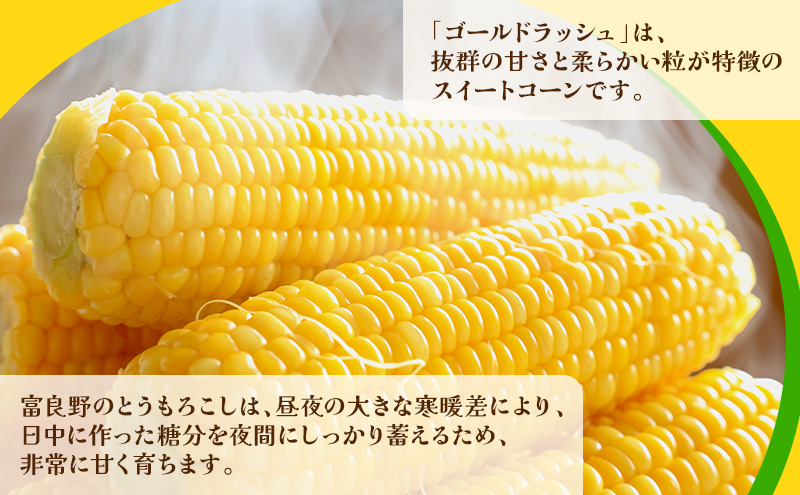【2026年先行受付】富良野産 とうもろこし ゴールドラッシュ 約10本 コーン とうきび トウモロコシ 2Lサイズ 野菜 甘い BBQ 北海道 富良野 ふらの