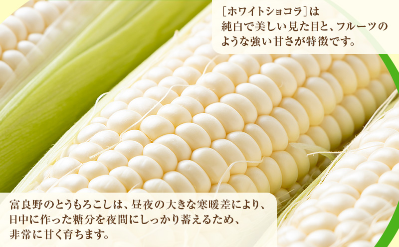 【2026年先行受付】富良野産 とうもろこし ホワイトコーン 約10本 コーン とうきび トウモロコシ ホワイトショコラ 2Lサイズ 野菜 甘い BBQ 北海道 富良野 ふらの