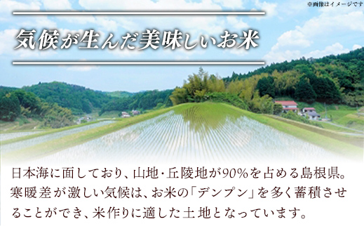 島根県安来市のふるさと納税 【新米 先行受付】食味鑑定士厳選　島根こしひかり 15kg（5kg×3袋）【米 コシヒカリ 令和7年産 先行予約 新米予約 精米 島根県 安来市】