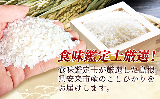 島根県安来市のふるさと納税 【新米 先行受付】食味鑑定士厳選　島根こしひかり 15kg（5kg×3袋）【米 コシヒカリ 令和7年産 先行予約 新米予約 精米 島根県 安来市】