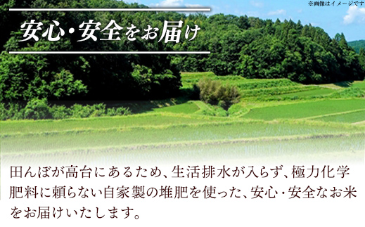 島根県安来市のふるさと納税 【新米 先行受付】食味鑑定士厳選　島根こしひかり 15kg（5kg×3袋）【米 コシヒカリ 令和7年産 先行予約 新米予約 精米 島根県 安来市】
