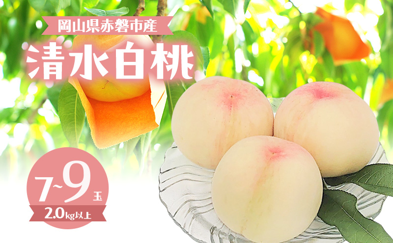 桃 2026年 数量限定 清水白桃 7～9玉 計2.0kg以上 岡山県 赤磐市産