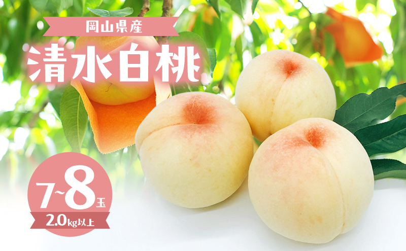 桃 2026年 数量限定 清水白桃 7～9玉 計2.0kg以上 岡山県 赤磐市産