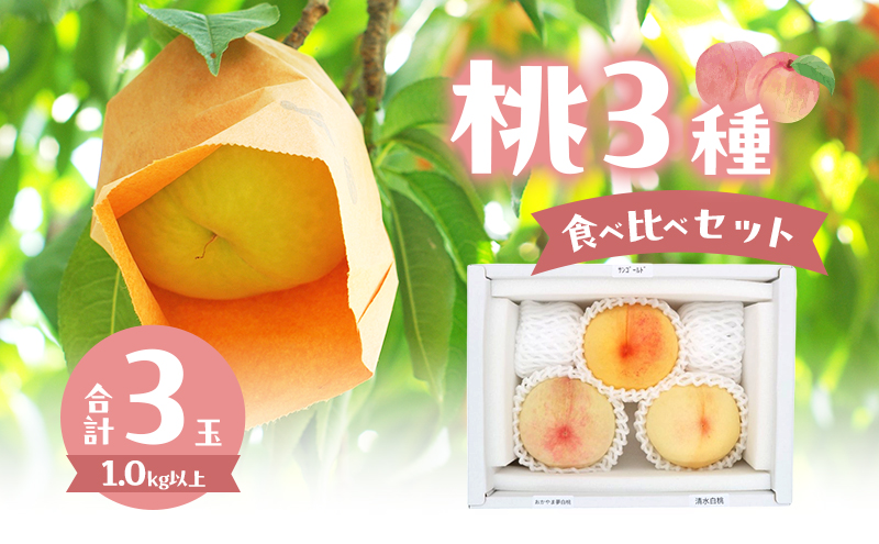 �y���R���Ԕ֎s�z�� 2026�N ���ʌ��� ��3��H�ה�׃Z�b�g 3��×�e1�� �v1.0kg�ȏ� ���R�� �Ԕ֎s�Y