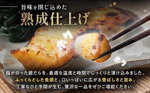 銀だら 西京漬け 8切