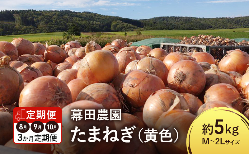 【2026年先行受付】［3か月定期便］富良野産 黄色 玉ねぎ 約5kg（約15～20玉） M～2Lサイズ　野菜 新鮮 直送 黄玉ねぎ 玉葱 玉ネギ 道産 北海道 富良野市 ふらの 幕田農園