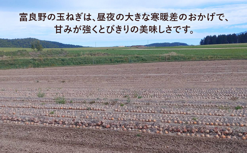 【2026年先行受付】富良野産 黄色 玉ねぎ 約5kg（約15～20玉） M～2Lサイズ　野菜 新鮮 直送 黄玉ねぎ 玉葱 玉ネギ 道産 北海道 富良野市 ふらの 幕田農園