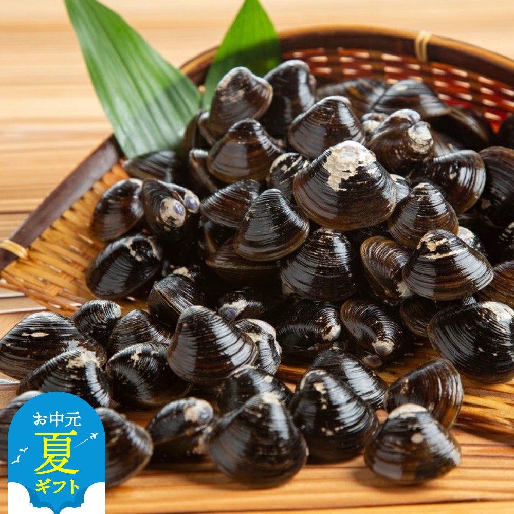 21-59 【お中元】冷凍砂出ししじみドーンと2.5kgセット