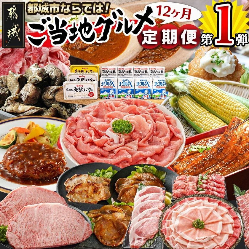 【セレクト定期便】第1弾☆都城市ご当地グル