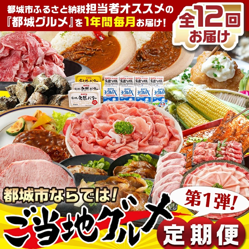 宮崎県都城市のふるさと納税 【セレクト定期便】第1弾☆都城市ご当地グルメ定期便(12ヶ月)≪2026年お届け≫_T156-MY01