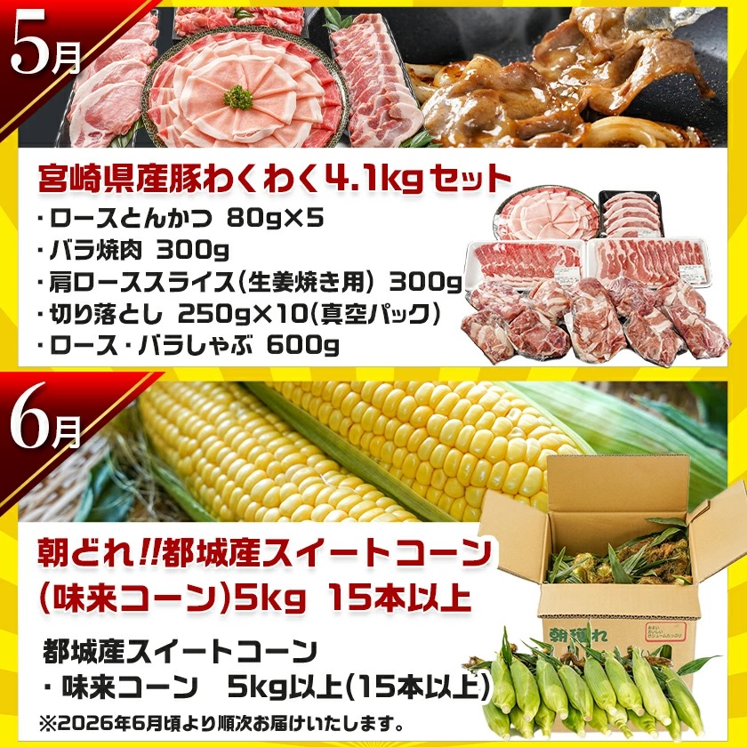 宮崎県都城市のふるさと納税 【セレクト定期便】第1弾☆都城市ご当地グルメ定期便(12ヶ月)≪2026年お届け≫_T156-MY01