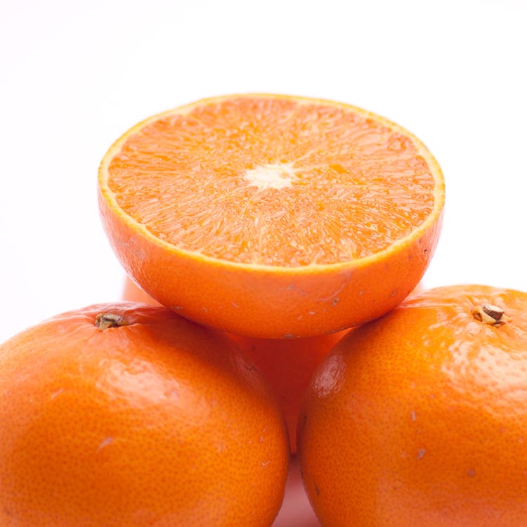 ＜2月より発送＞厳選 せとか1kg+250g（傷み補償分）◇｜柑橘・春みかんの王様【光センサー選果・食べ頃出荷】※北海道・沖縄・離島への配送 ※2026年2月中旬～3月下旬頃に順次発送予定