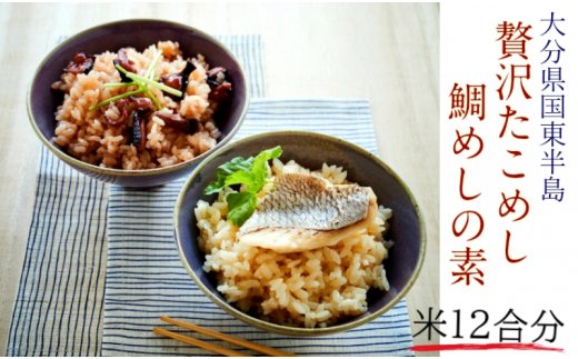 大分県国東市のふるさと納税 国東たこめし＆鯛めしの素/お米12合分