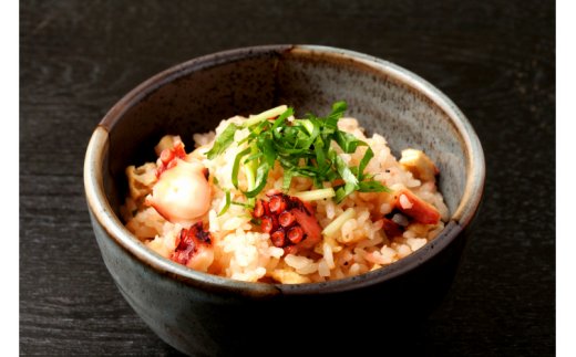 大分県国東市のふるさと納税 国東たこめし＆鯛めしの素/お米12合分