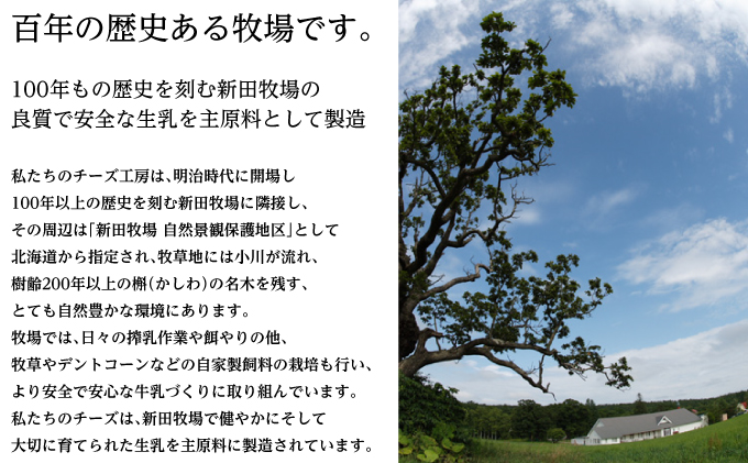 北海道 十勝 大地の耀150g×3個［チーズ工房NEEDS］【 クリームタイプ チーズ ミルク ワイン 乳製品 北海道 十勝 幕別 】