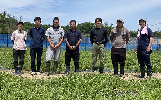 【2026年先行予約】浜井さんの甘い！大玉スイカ　石川県加賀市産 スイカ 西瓜 デザート フルーツ 果物 スイカスイカスイカスイカ F6P-2624