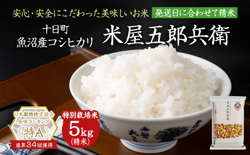 【令和7年産米】魚沼コシヒカリ 米屋五郎兵衛特栽米5kg 選べる配送時期 お米 精米 こめ ご飯 白米 特別栽培 