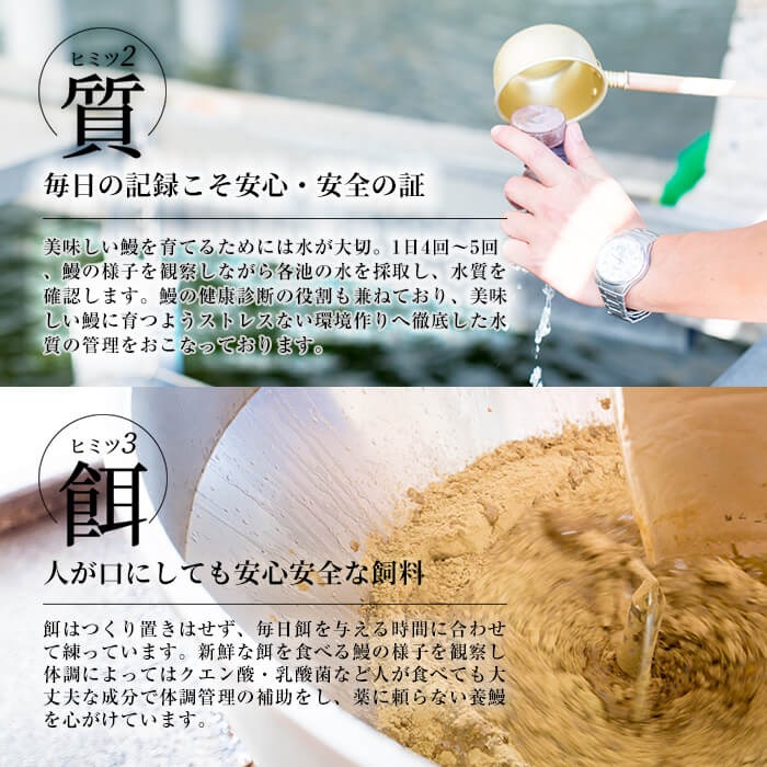 鹿児島県志布志市のふるさと納税 【定期便全3回】お手軽に楽しめるうなぎ定期便！（計1.04kg以上）t0046-004