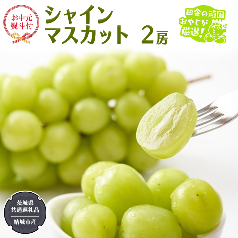 茨城県つくばみらい市のふるさと納税 【お中元 熨斗付】 シャインマスカット 2房 【2026年7月から発送開始】 （茨城県共通返礼品 [ぶどう]：結城市産） 田舎の頑固おやじが厳選！ マスカット 種なし 高糖度 ギフト お中元 甘い 美味しい フルーツ ぶどう [BI266-NT]