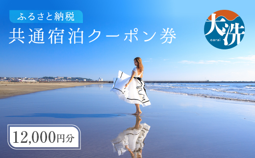 y錧z  h N[| 12,000~i3,000~×4j ֓ 