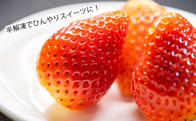 【数量限定！完熟冷凍イチゴ】富良野 いちご 1kg（1kg×1袋）冷凍 フルーツ 苺 イチゴ 果物 新鮮 甘い 贈り物 ギフト 道産 おやつ ふらの