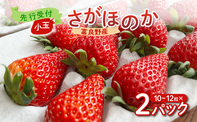 ykCxǖszy2026Ns\z xǖY  ق̂  10`12×2pbN@m t[c ʕ VN 蕨 Mtg t[c  C`S  嗱 Â Y kC xǖ n