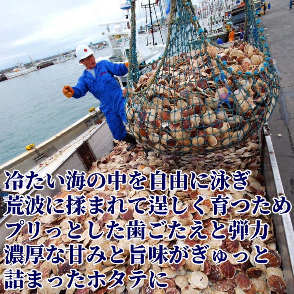 北海道紋別市のふるさと納税 19-78 北海道オホーツク海産ホタテ玉冷バラエティサイズ(1kg)| 訳あり サイズ不揃い