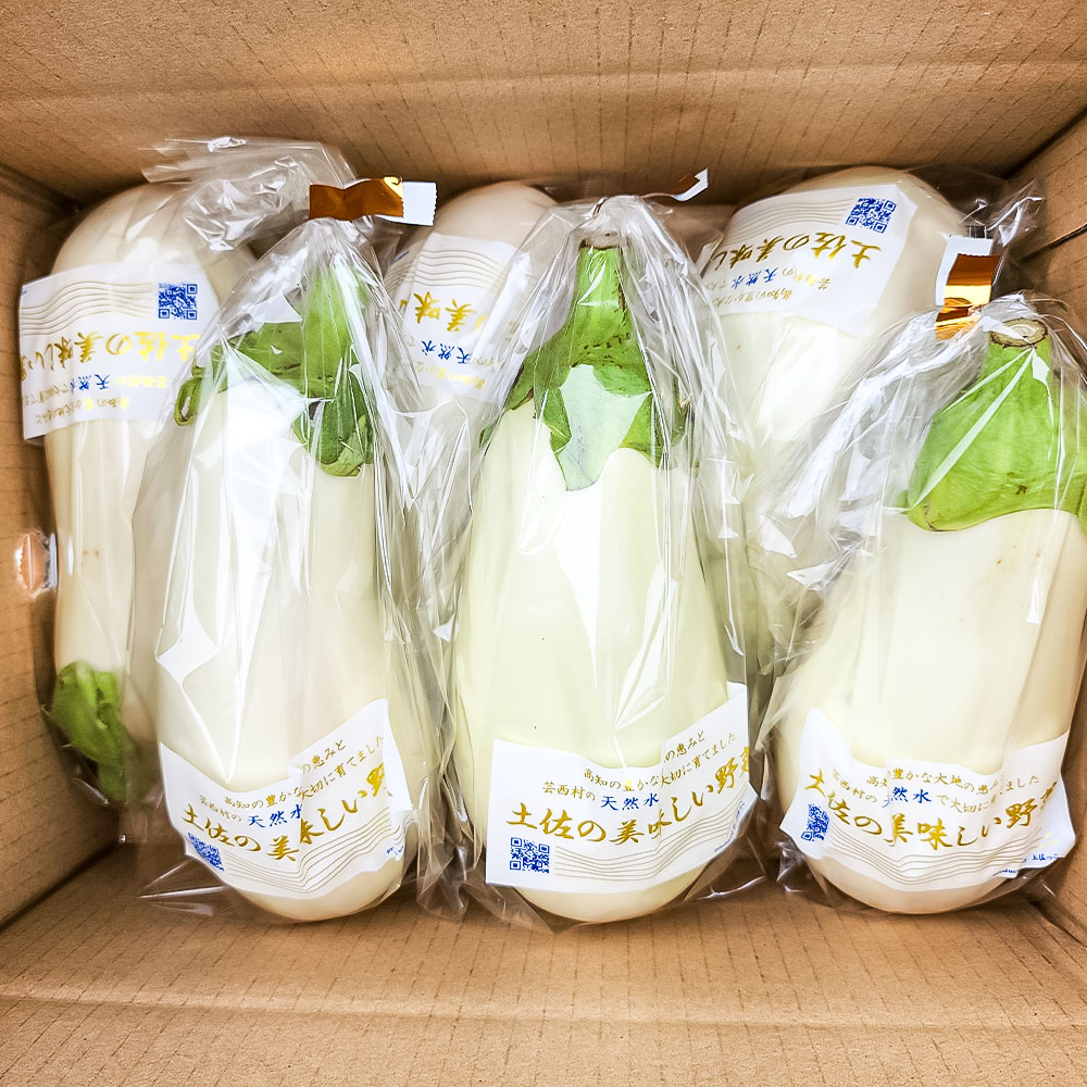 KYN003　先行予約 白ナス6本 - なす 茄子 1本180g以上 野菜 新鮮 美味しい グラタン シチュー ラタトゥイユ 洋食 和食 料理 お取り寄せ ふるさとのうぜい 故郷納税 6000円 返礼品 高知県 高知