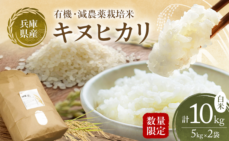 食品 白米 キヌヒカリ10kg