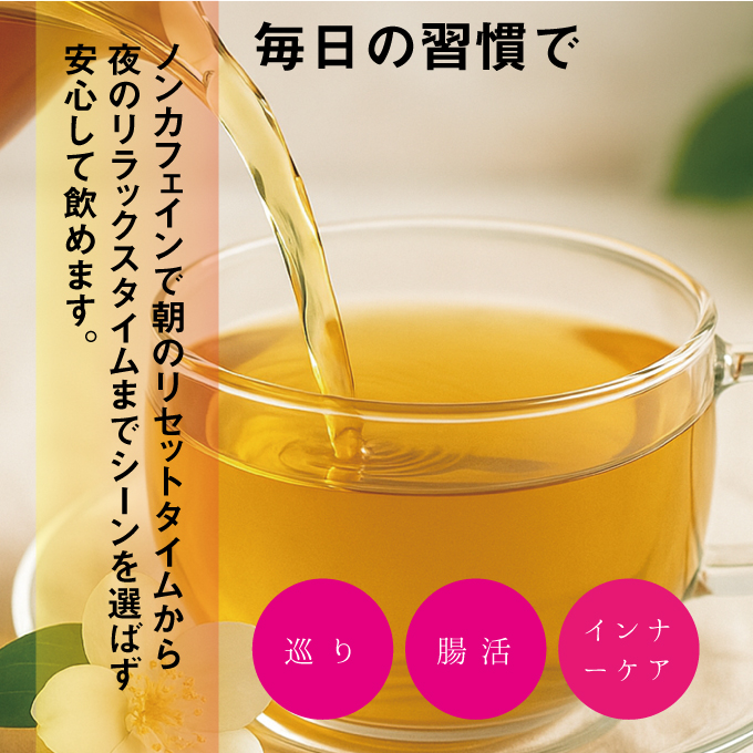 焙煎 ひじき茶 約2g×14袋入り×2箱セット 海藻漁師が自宅で飲むお茶 天然 海藻 無添加商品   ティーバッグ 鉄分豊富 焙煎ひじき茶 瀬戸内ぽたり  自然派女子のキレイ習慣 鉄分 カルシウム マグネシウム 食物繊維 ミネラル