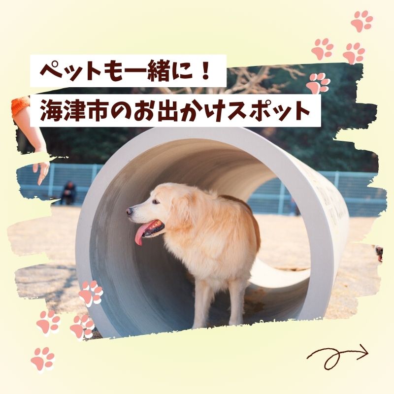 羽根谷だんだん公園 ドッグラン 年間パス 岐阜県 海津市