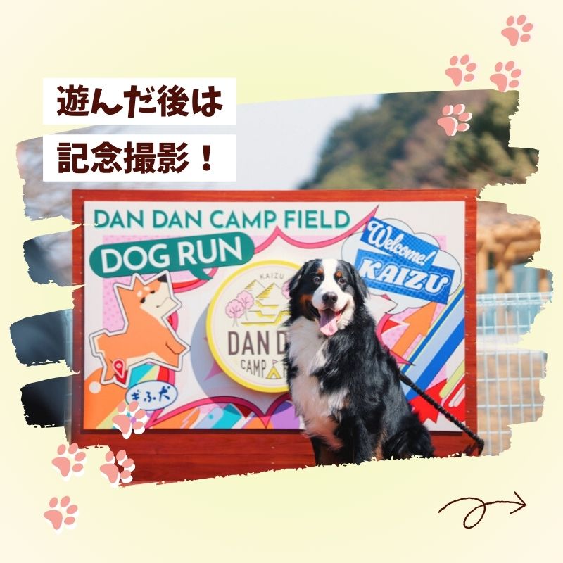 羽根谷だんだん公園 ドッグラン 年間パス 岐阜県 海津市