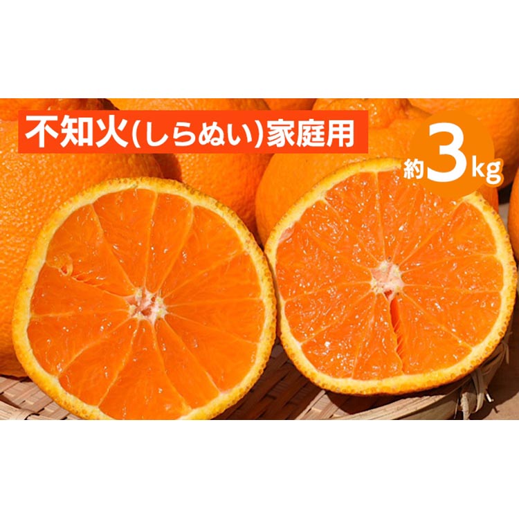 ya̎Rlza̎RY@sm 3kgyƒpz 2026N2{`4{菇\