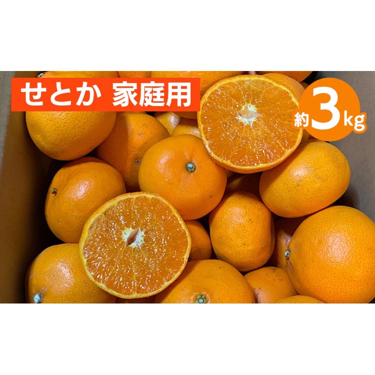 ya̎RlzƂ@3kg@ƒp 2026N2{`4{菇\