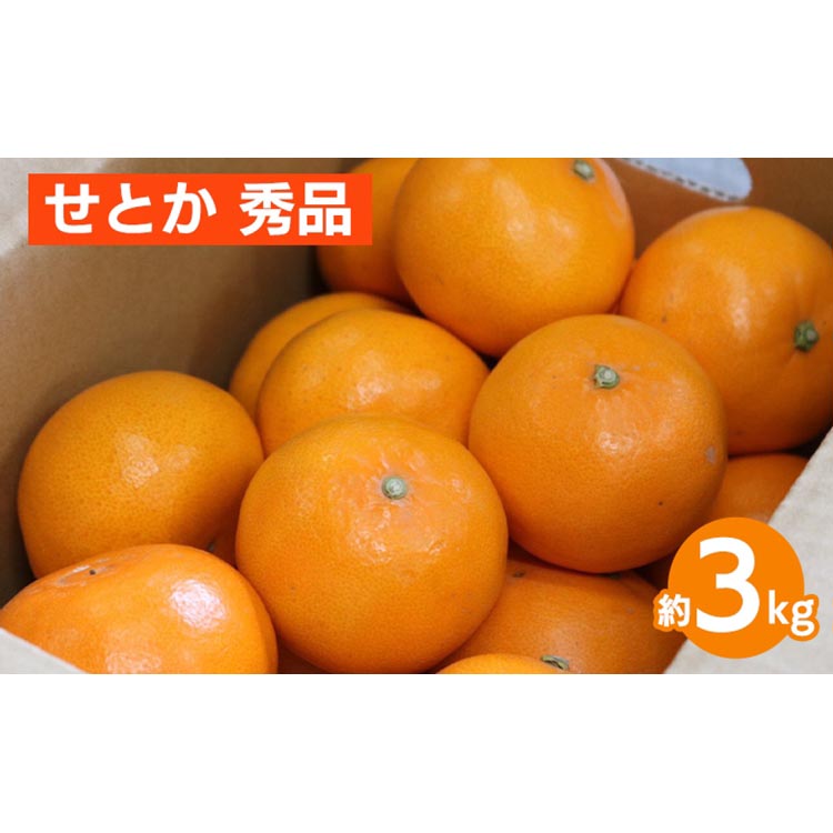 【和歌山県美浜町】せとか 約3kg 秀品 ※2026年2月下旬〜4月中旬頃より順次発送予定