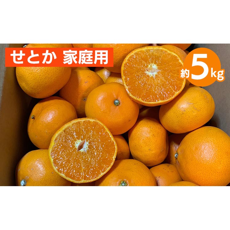 せとか　約5kg　家庭用 ※2026年2月下旬～4月中旬頃より順次発送予定