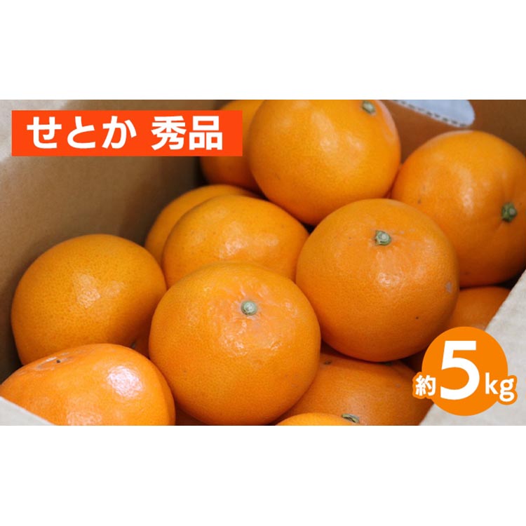 【和歌山県美浜町】せとか 約5kg 秀品 ※2026年2月下旬〜4月中旬頃より順次発送予定