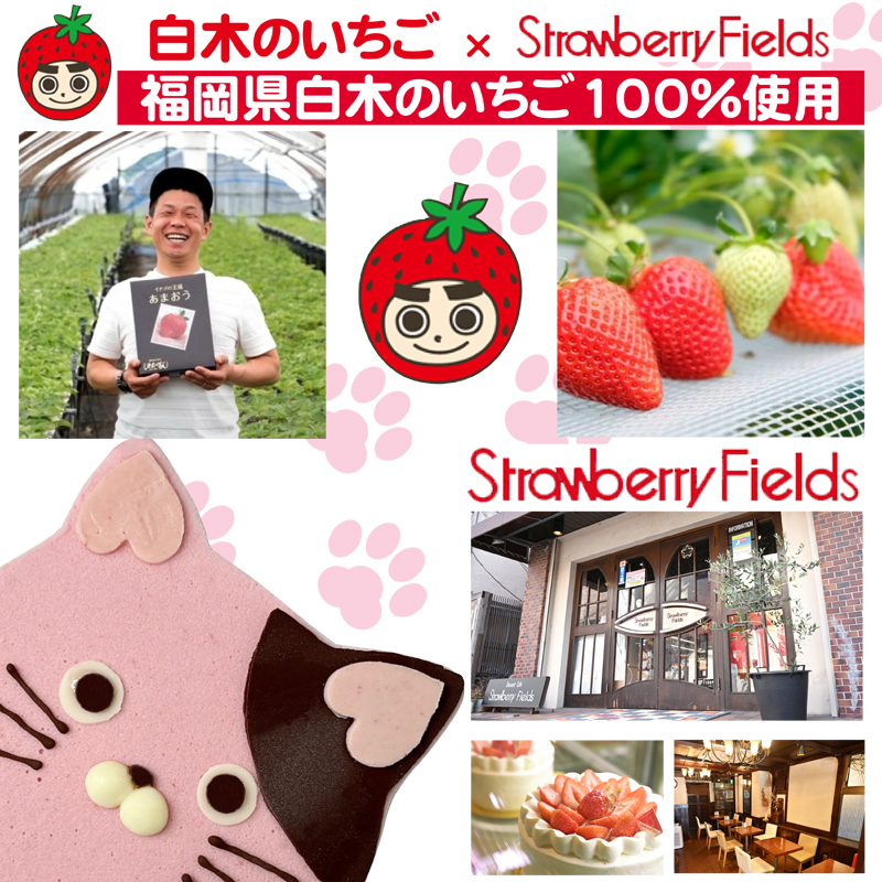 あまおうたっぷり ねこ ジェラートケーキ スイーツ ギフト ケーキ　大人 猫 誕生日 子供  猫型 15cm 誕生日 記念日 ねこ バースデー ネコ 動物 モチーフ 猫型 アニマルケーキ 猫の日　訳あり冷凍いちご使用　あまおう