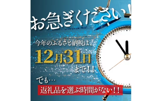 福岡県新宮町のふるさと納税 あとから選べる【ふるさとギフト】１万円