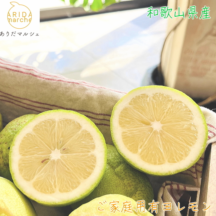 【和歌山県美浜町】【先行予約】 紀州 和歌山 ご家庭用 有田 レモン 【防腐剤・ワックス不使用】【農家直送】【訳あり】 5kg ※北海道・沖縄・離島への配送不可 ※2025年9月下旬〜2026年3月下旬頃に順次発送予定