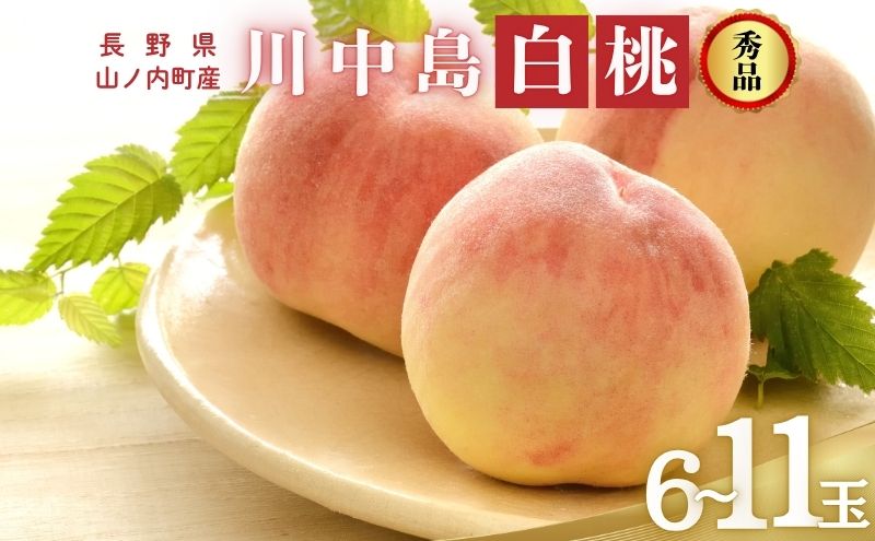 川中島白桃 秀品 約3kg 6～11玉 桃 もも 果物 信州 長野