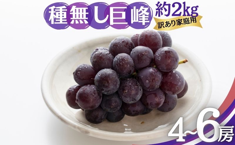 種無し巨峰 訳あり家庭用 約2kg 4～6房 ぶどう 葡萄 巨峰 果物 信州 長野