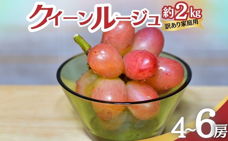 クイーンルージュ 訳あり家庭用 約2kg4～6房 ぶどう 葡萄 果物 信州 長野