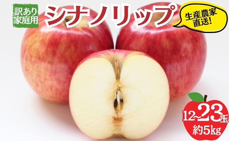 シナノリップ 訳あり家庭用 約5kg 12～23玉 りんご 果物 訳あり 信州 長野