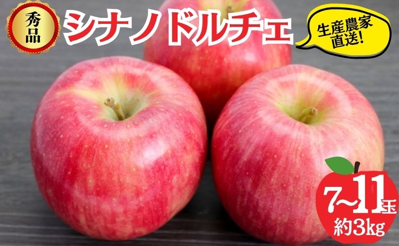 シナノドルチェ 秀品 約3kg 7～11玉 りんご 果物 信州 長野